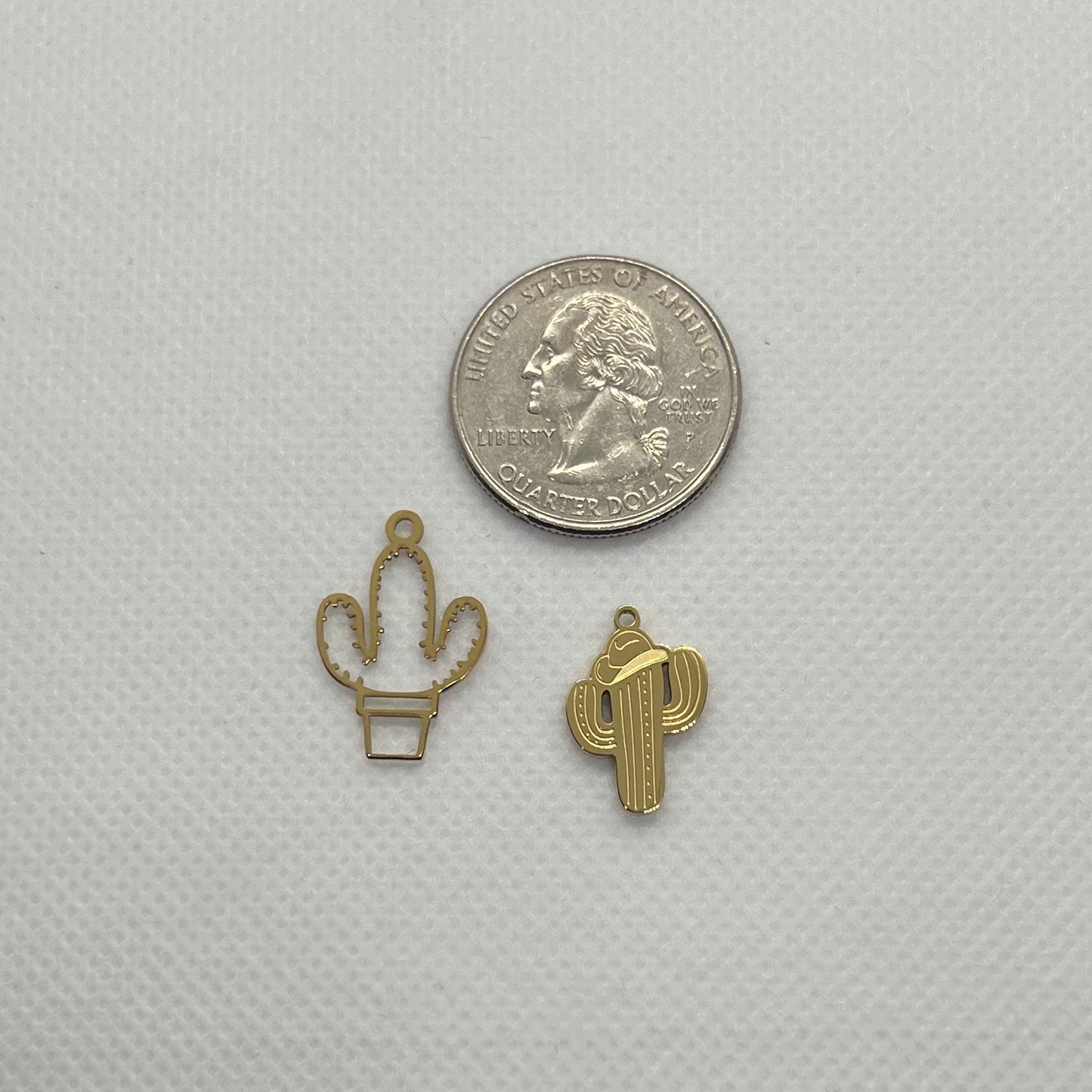 CACTUS CHARM